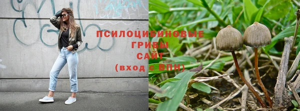 не бодяженный Володарск