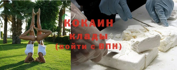 дживик Сосновый Бор