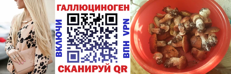 Псилоцибиновые грибы мухоморы  omg ONION  Славянск-на-Кубани 