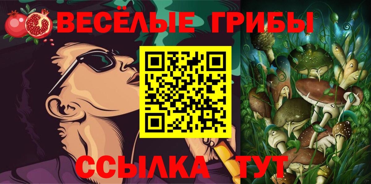 Славянск-на-Кубани  Галлюциногенные грибы Psilocybe  закладки  Вход с VPN 