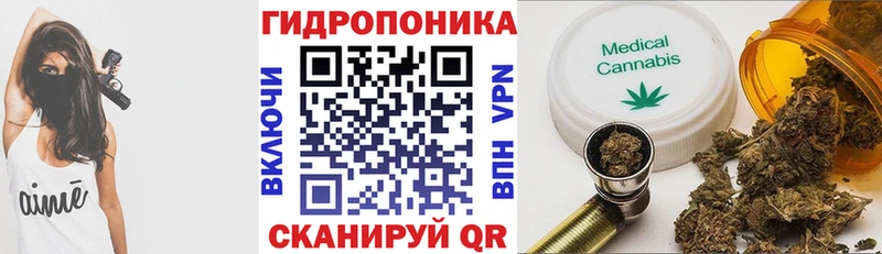 Конопля планчик Славянск-на-Кубани